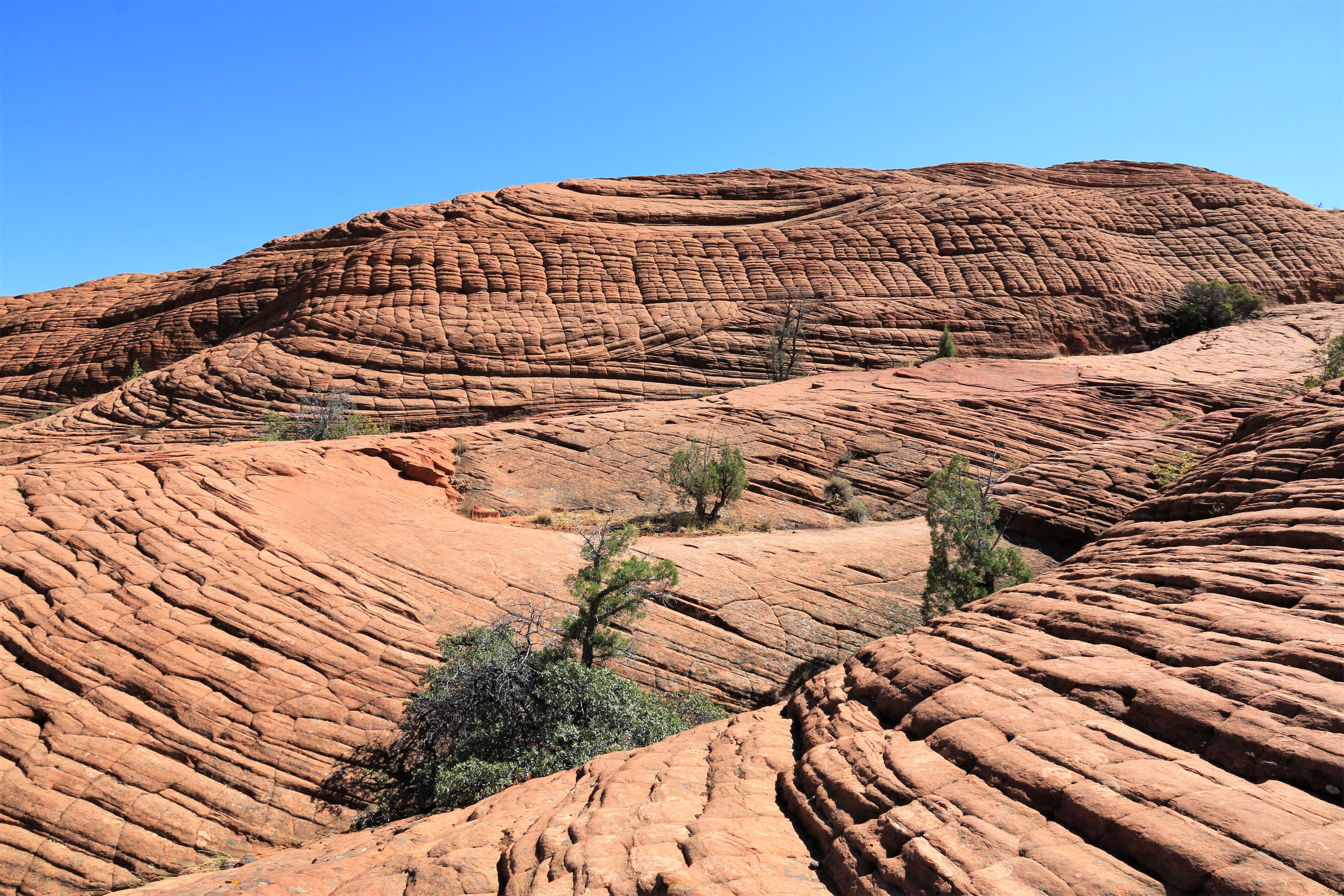 Snow Canyon